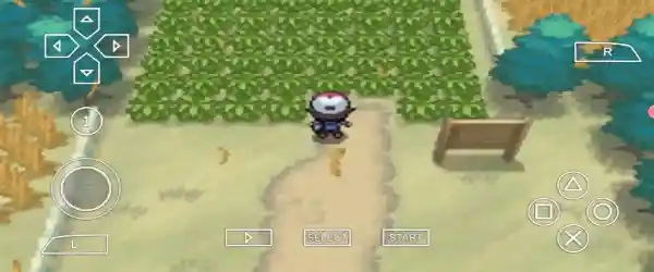 Pokemon Black And White PPSSPP