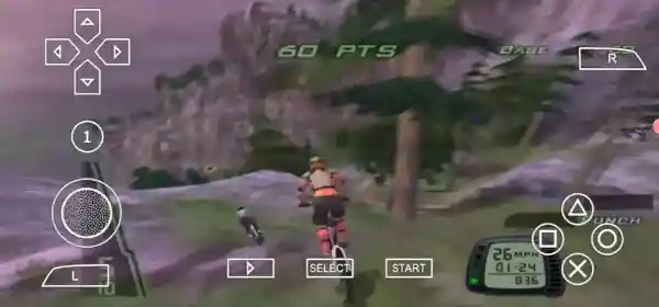Downhill Domination